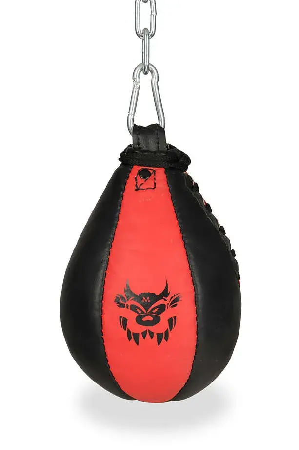 slip bag 