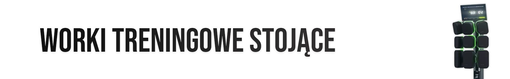 rękawice bokserskie DBX Bushido