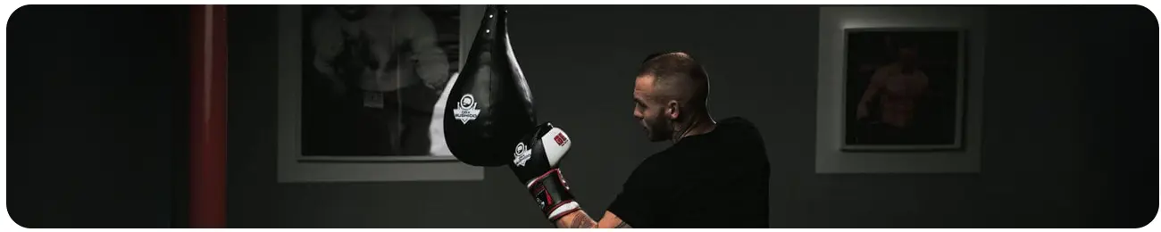 sk5 gruszka bokserska dbx bushido