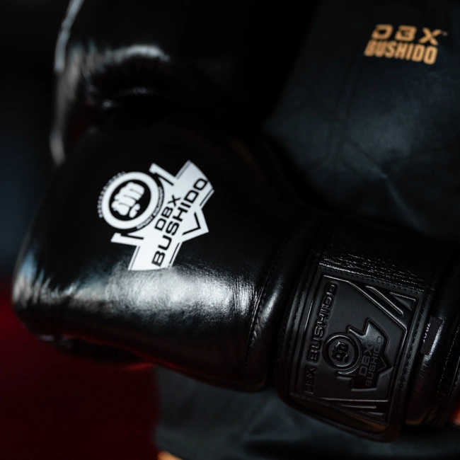 14oz Boxhandschuhe - ProFight - Legacy Serie