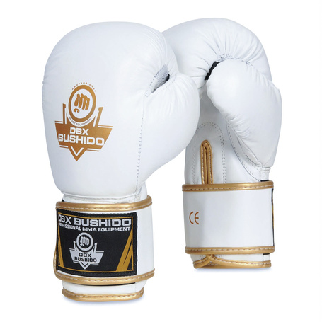 Boxhandschuhe 12oz - Spirit - Serie Valor