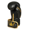 14oz Boxhandschuhe - Hawk - Origin Serie