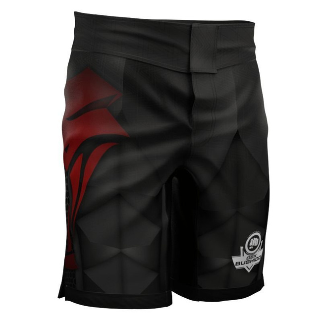 Rashguard + Shorts Trainingsset