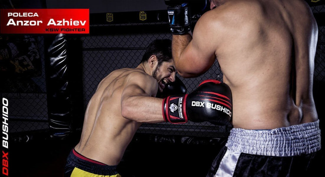 12oz Boxhandschuhe - Ninja - Legacy Serie