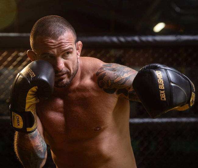 12oz Boxhandschuhe - Hammer Gold - Legacy Series