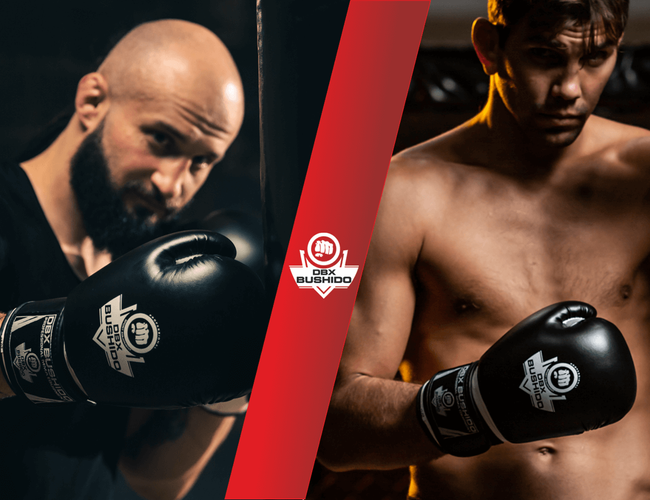 Boxhandschuhe 14oz - Klassisch Weiß - Origin Serie