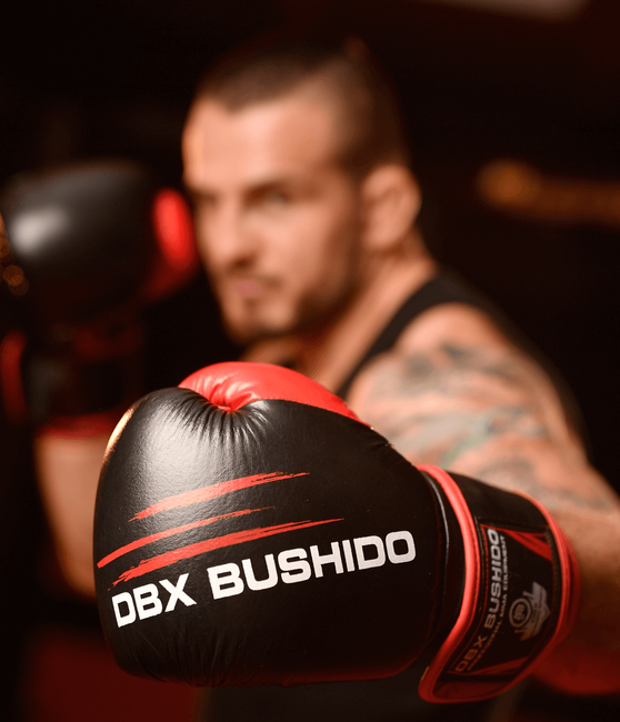 12oz Boxhandschuhe - Ninja - Legacy Serie