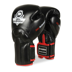 Boxhandschuhe mit Wrist Protect System BB2-10oz