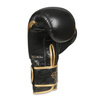 Boxhandschuhe 12oz - Aureos - Valor Serie