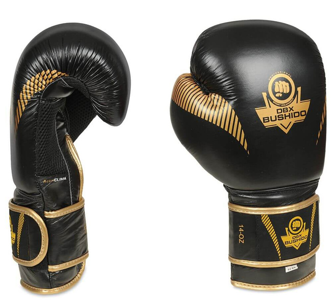 Boxhandschuhe 12oz - Aureos - Valor Serie