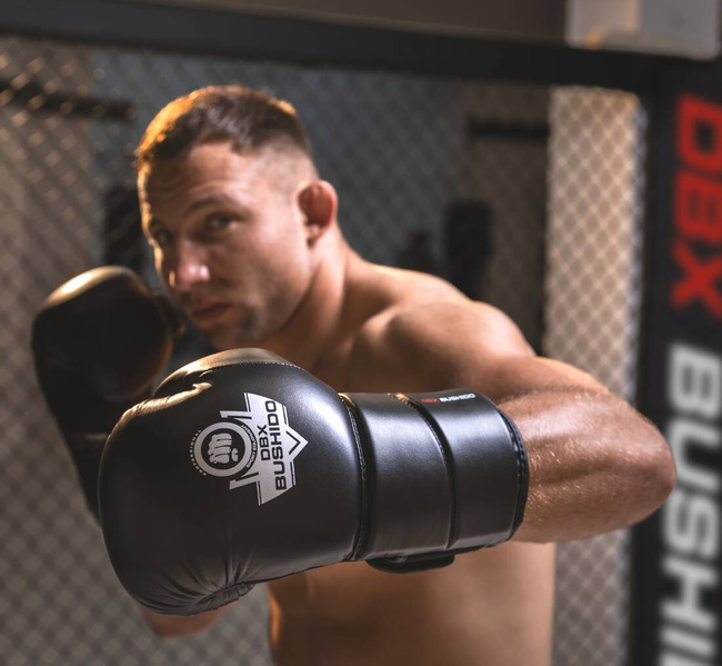 12oz Boxhandschuhe - Eclipse - Origin Serie