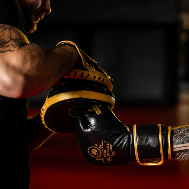 Trainerpratzen aus echtem Leder | ProFighter
