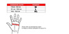 MMA Handschuhe XL - Ninja - Legacy Serie