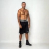 Trainings Box Shorts SILBER