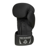 Boxhandschuhe 8oz - EverClean - Serie Origin