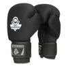 Boxhandschuhe 8oz - EverClean - Serie Origin
