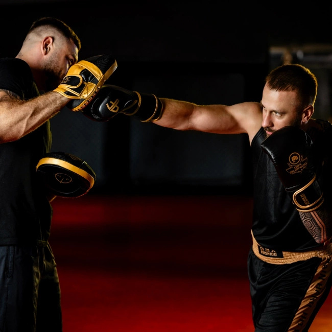 Trainerpratzen aus echtem Leder | ProFighter