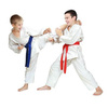 Karate-Kimono für Kinder + Karate-Gürtel Gratis - DBX BUSHIDO ARK-3102 120 cm