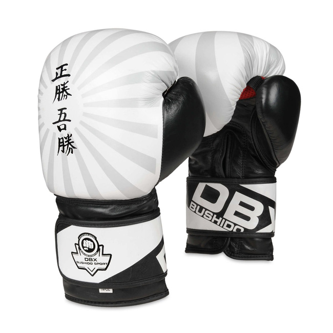 Boxhandschuhe 10oz - Japan - Valor Series