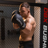 Boxhandschuhe 12oz - Taver Black One - Origin Serie
