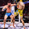 MMA Handschuhe L - Phantom Rot - Valor Serie