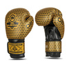 B-2v23 10 oz sparring boxhandschuhe