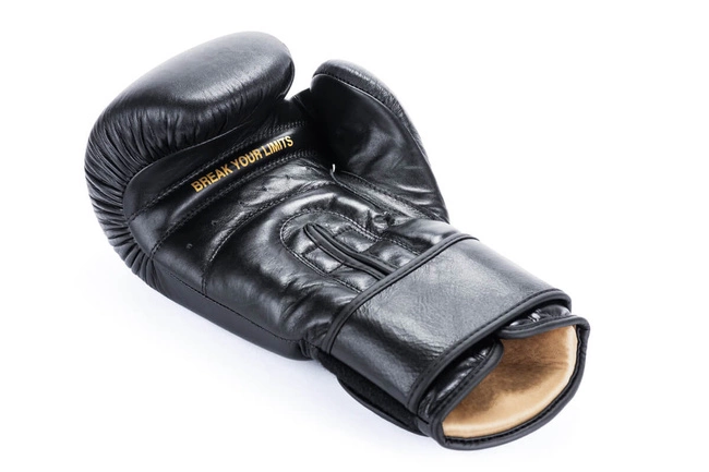 12oz Boxhandschuhe - Striker - Legacy Series