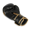 Boxhandschuhe 12oz - Aureos - Valor Serie