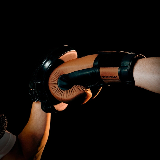 Trainerpratzen aus echtem Leder | Black Leather | 2 Stück