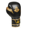 Boxhandschuhe 12oz - Aureos - Valor Serie