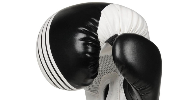 SPEZIALANGEBOT! BESCHREIBUNG LESEN! - BUSHIDO B-2v3A 10oz SPARING BOXING Handschuhe