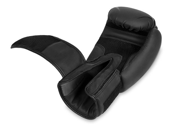 10oz Boxhandschuhe - Raptor - Origin Serie