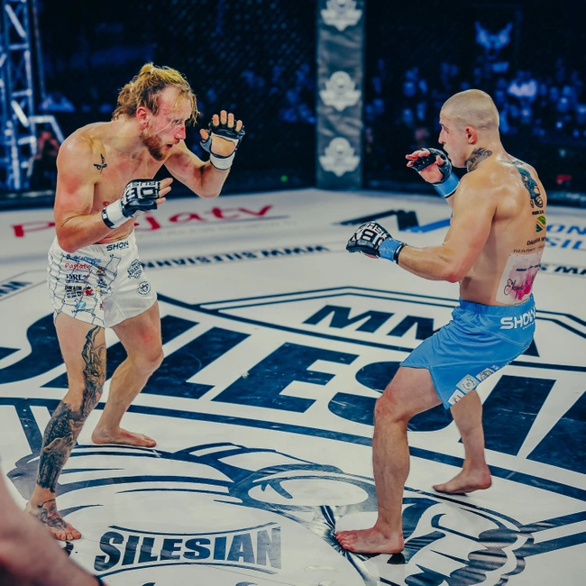 MMA Handschuhe L - Harmonie - Valor Serie