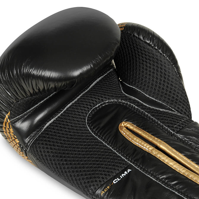 Boxhandschuhe 10oz - Aureos - Valor Serie