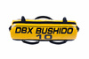 POWER BAG DBX BUSHIDO - CROSS TRAINING GERÄT - 10 KG