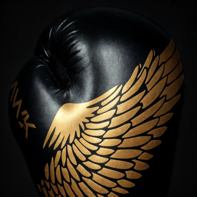 16oz Boxhandschuhe - Hawk - Origin Serie