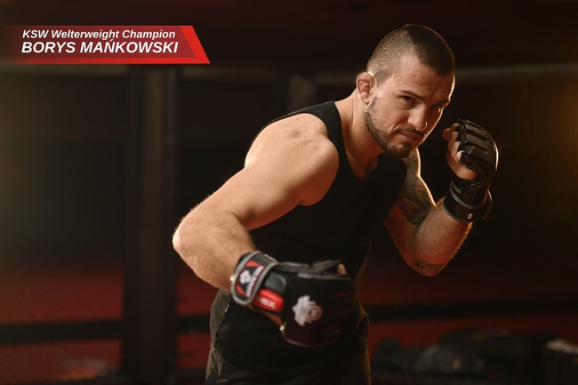 MMA Handschuhe XL - Ninja - Legacy Serie