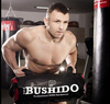 BUSHIDO SANDSACK, CROSSTRAINING, FITNESS 35 KG