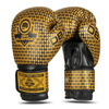 B-2v23 10 oz sparring boxhandschuhe
