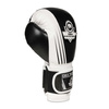 SPEZIALANGEBOT! BESCHREIBUNG LESEN! - BUSHIDO B-2v3A 10oz SPARING BOXING Handschuhe