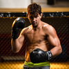 Boxhandschuhe 12oz - Black Dragon - Valor Serie