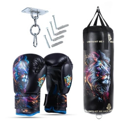 Leon Set – Boxsack + Handschuhe – 65 cm / 8 kg | DBX