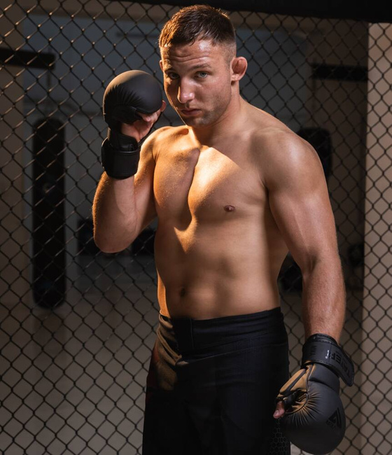 MMA Sparring Handschuhe M - Taver Shade - Origin Serie