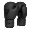 Boxhandschuhe 10oz - TAVER Schwarz - Origin Series