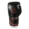 Boxhandschuhe mit Mehrschichtpolsterung – ProFighter Bordeaux – Legacy Series