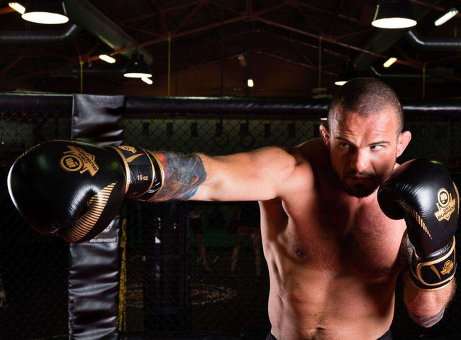 Boxhandschuhe 12oz - Aureos - Valor Serie