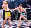 MMA Sparring Handschuhe S/M - Phantom Rot - Valor Series