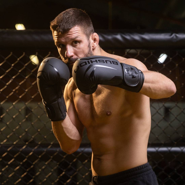 10oz Boxhandschuhe - Raptor - Origin Serie