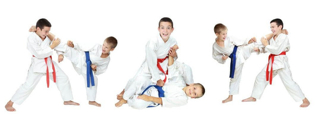 Karate-Kimono für Kinder + Karate-Gürtel Gratis - DBX BUSHIDO ARK-3102 120 cm