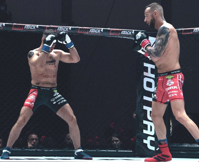 Boxhandschuhe 16oz - Klassisch Weiß - Origin Serie